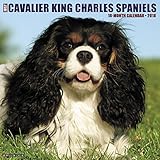 Just Cavalier King Charles Spaniels 2018 Calendar