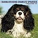 Just Cavalier King Charles Spaniels 2018 Wall Calendar (Dog Breed Calendar)