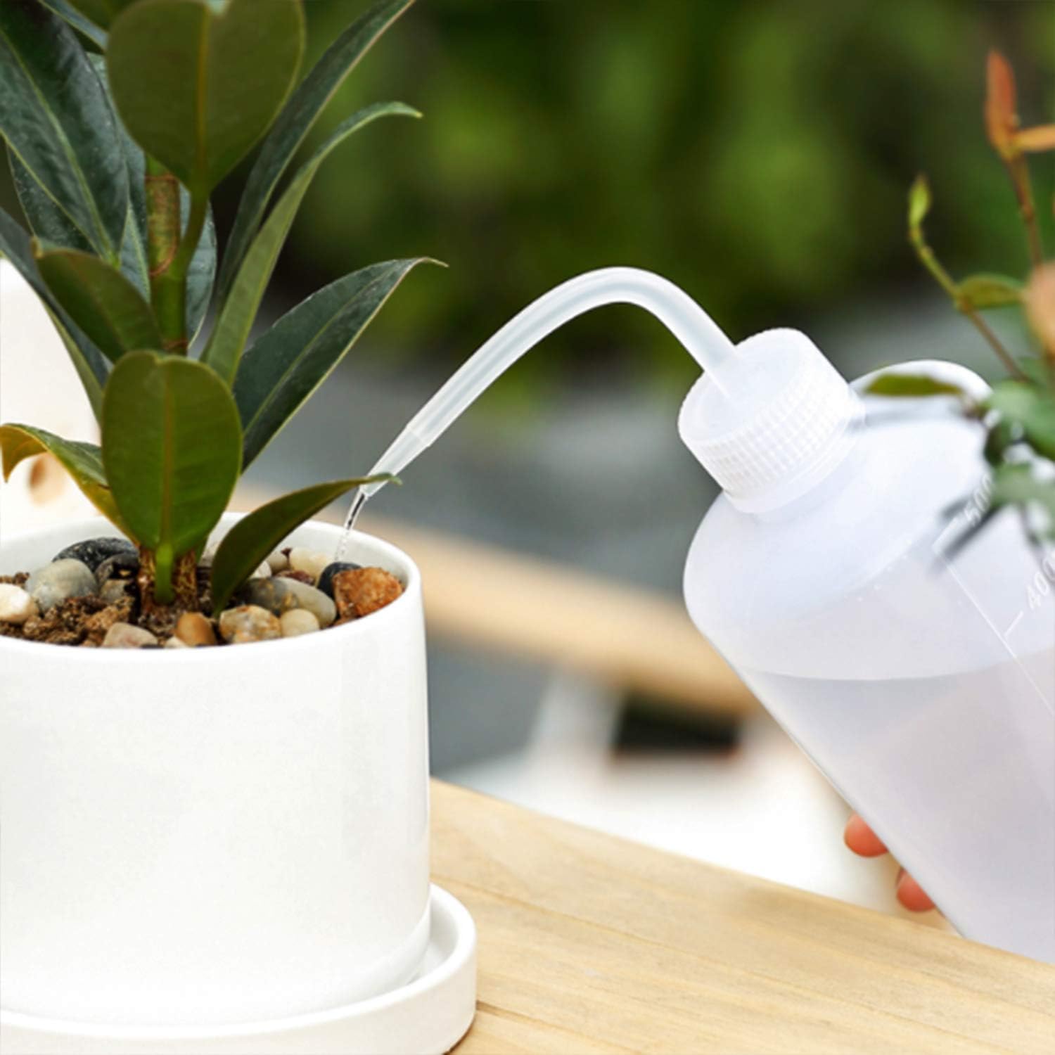Axe Sickle 3pcs Plastic Safety Squeeze Bottle 500 mL Wash Bottle Watering Tool, Lab Tip Liquid Storage, 16oz / 3 Bottle. : Garden & Outdoor