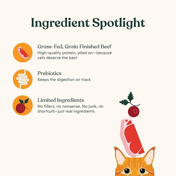 MADE BY NACHO BONE BROTH CAT FOOD TOPPER FOR HYDRATION AND PICKY EATERS – ADD PROTEIN AND FLAVOR TO YOUR DRY CAT FOOD – SUPPORTS OPTIMAL NUTRITION, DIGESTION, SKIN & COAT, 11 OZ. BEEF (PACK OF 4)