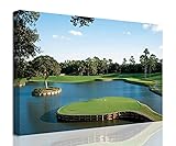 chenchenArt USA Golf Course Wall Art TPC Sawgrass