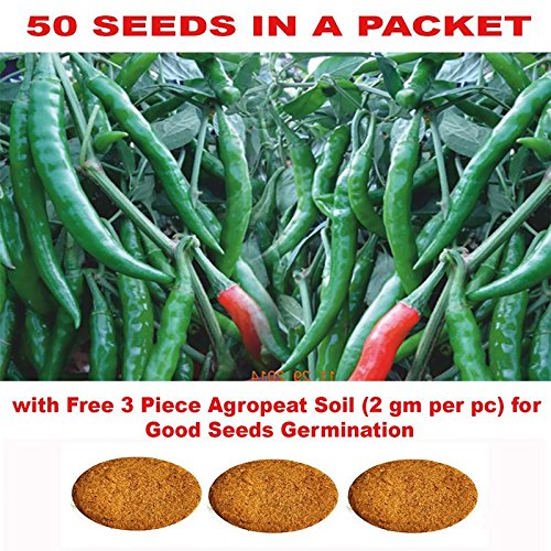 Kraft Seeds Chilli F1 Hybrid Vegetable Seeds with Free 3 Piece Agropeat Soil for Good Seeds Germination by Kraft Seeds