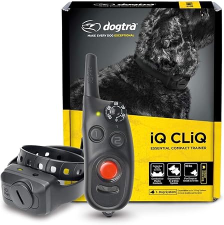 dogtra iq cliq