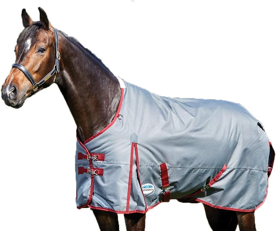 WeatherBeeta Comfitec Plus Dynamic Standard Neck Blanket Lite Grey