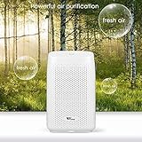 amzdeal Dehumidifier for Home Small Dehumidifier Mini Electrical Quiet 700ml (24fl.oz) Capacity Suitable for Bedroom Basement Bathroom(1200 Cubic Feet or 215 sq ft) Auto Off to Remove Damp, Moisture