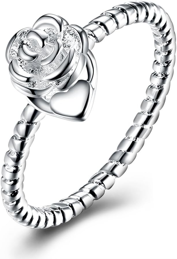 Garilina Fashion Romantic Simple Anniversary Silver Ring for Women R2240
