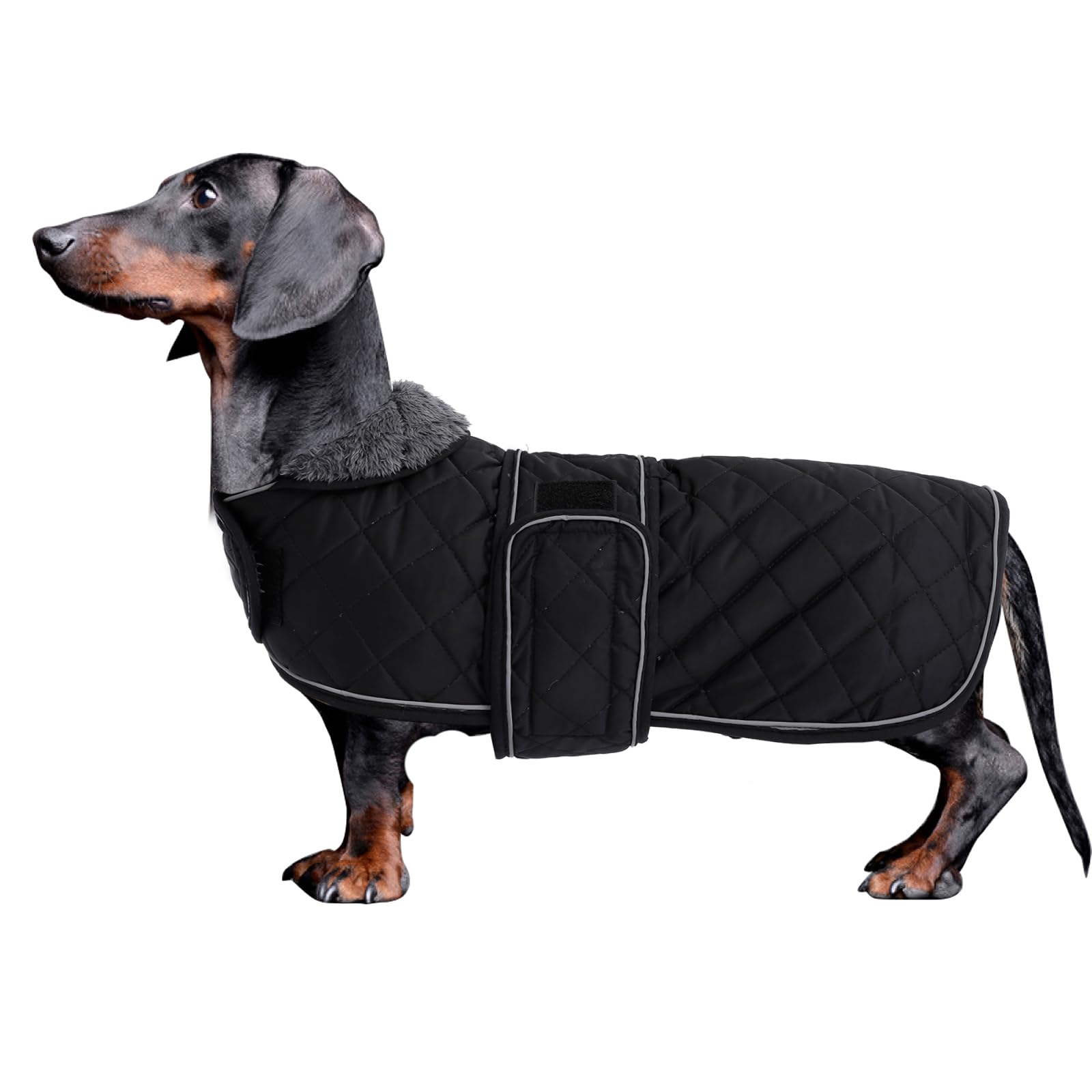 Morezi Dachshund Coat, Dachshund Coat, Dog Winter Coat with Padded Fleece Lining, Dog Outerwear with Adjustable Bands - Black - S