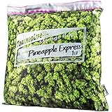 Pineapple Express Stash Pillowcase with Secret Pocket | Decorative Throw Pillow Cushion with Cool Hidden Compartment | Fits 16 x 16 Inch Pillow Insert | Makes a Great Gift