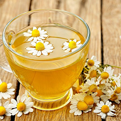 Vet's Best Hot Spot Spray for Dogs, 16 oz Dog Training