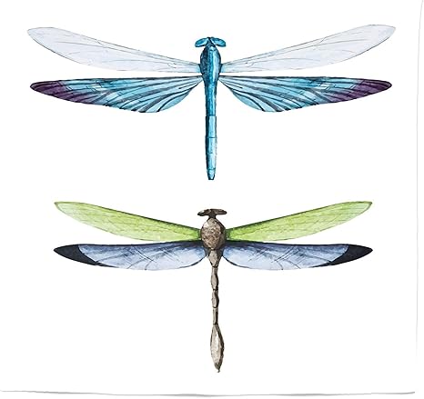 Amazon Co Jp Sodika トンボタペストリー クイーンサイズ トンボの羽 1組 昆虫の羽 ヴィンテージ リアルな絵画 水彩画 自然の生き物 ホームデコレーション リビングルーム 寮の装飾 幅 X 長さインチ マルチカラー 23 W By 28 L ホーム キッチン Amazon Co Jp Sodika トンボタペストリー クイーンサイズ トンボの羽 1組 昆虫の羽 ヴィンテージ リアルな絵画 水彩画 自然の生き物 ホームデコレーション リビングルーム 寮の装飾 幅 X 長さインチ マルチカラー 23 W By 28 L ホーム キッチン
