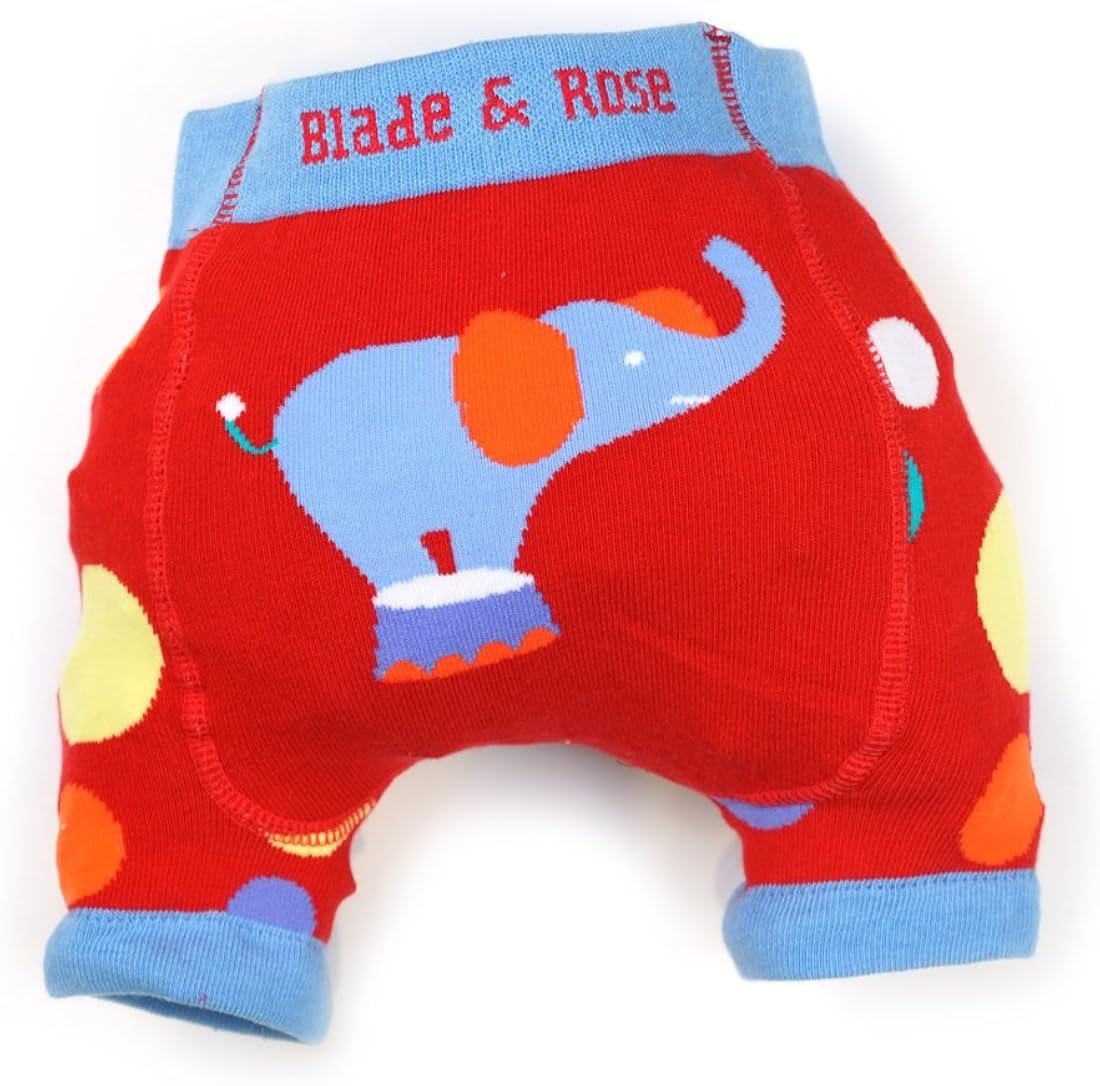 blade and rose shorts