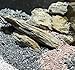 Natural Aquarium Stones Brown/Grey Slate - Size 1 to 3 Inch. PH Neutral. Perfect Rocks for Aquascaping Planted Aquariums, Cichlid and Nano Tanks, Reptile and Amphibian Enclosures (5 lbs) (1-3 inch)