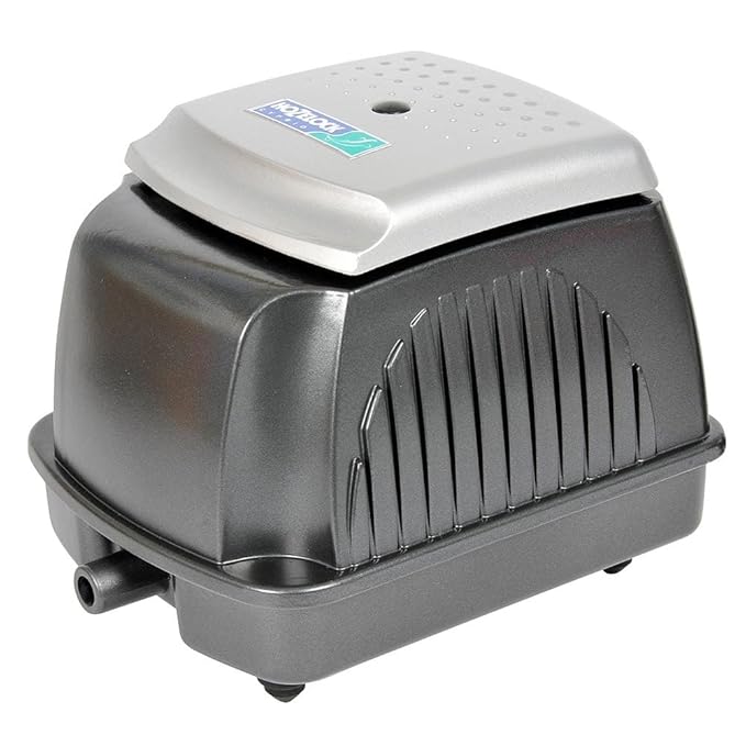 Pecera hailea | Peceras