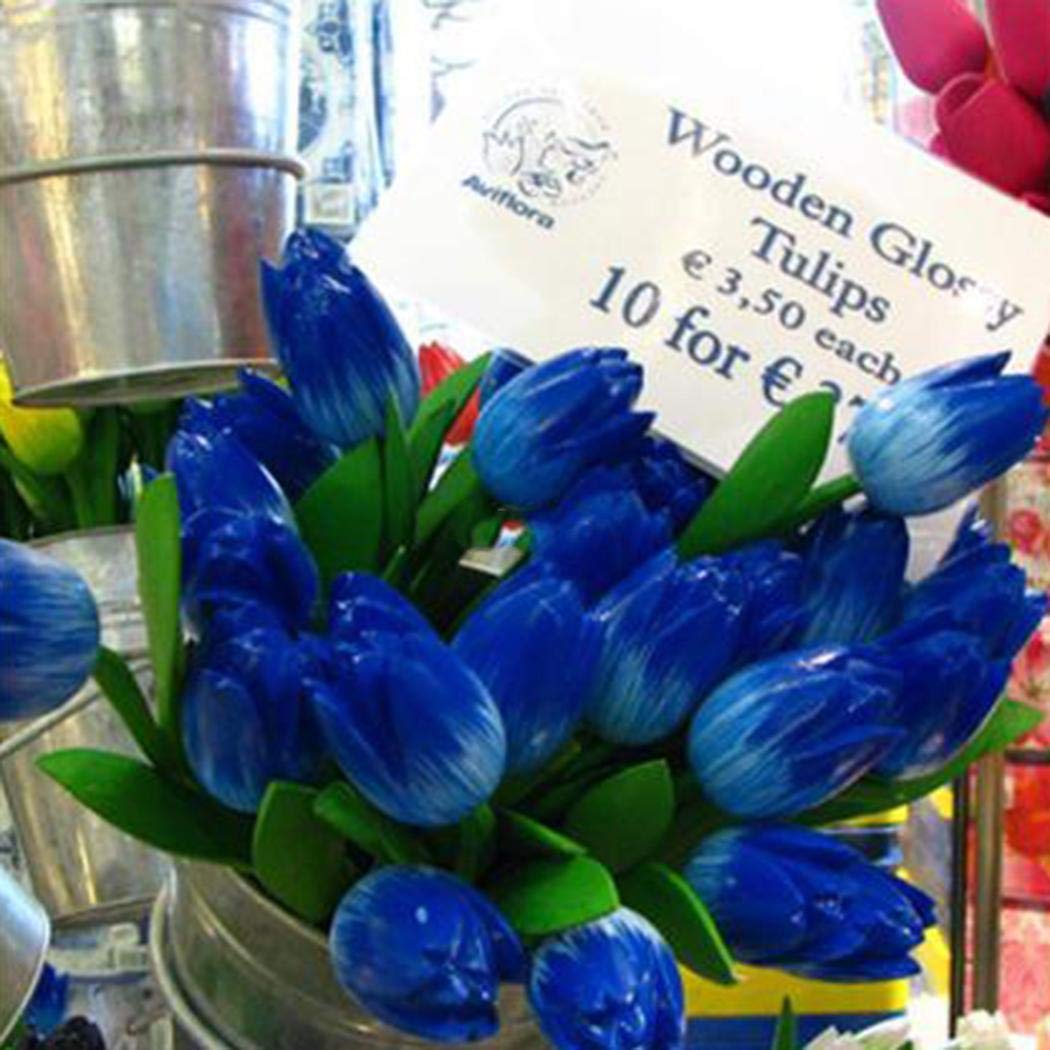 Синие Тюльпаны Купить Луковицы