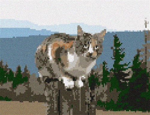 Coca Cat Needlepoint Kit