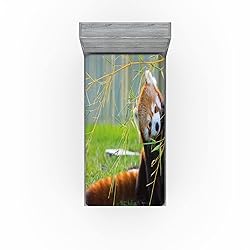 Ambesonne Africa Fitted Sheet Set, Panda on The