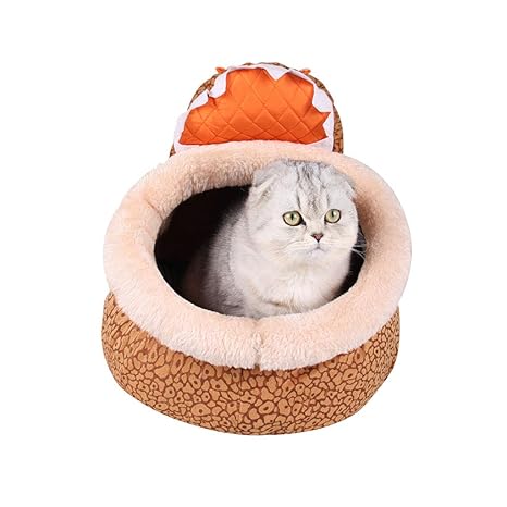 pet supplies cats