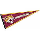 Bethune Cookman Wildcats Pennant