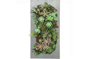Vandue Modern Home Living Wall Galvanized Steel/Zinc Succulent Planter (Aged Zinc, 12 Pocket)