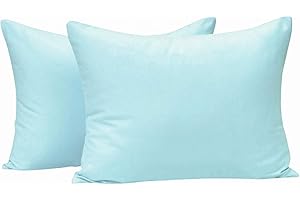 NTBAY Zippered Toddler Pillowcases Set of 2, 100% Brushed Microfiber 13x18 Pillowcases, Super Soft and Cozy Travel Kids Nursery Pillow Cases, 13x18 Inches, Aqua