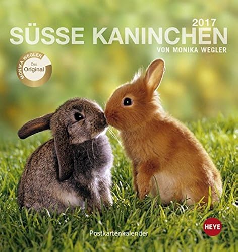 Download Süße Kaninchen 2017. Postkartenkalender PDF