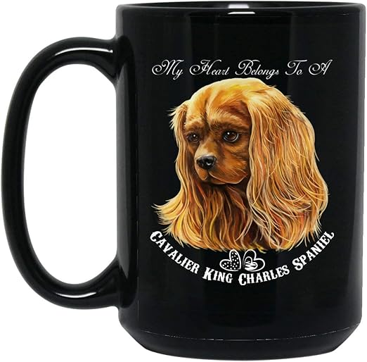 red cavalier king charles spaniel