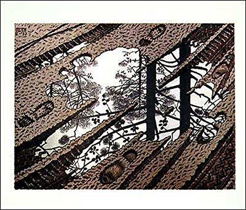 M.C. Escher Puddle Art Print Poster 25.5x21.5