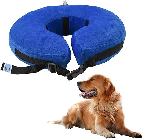 blow up dog collar amazon