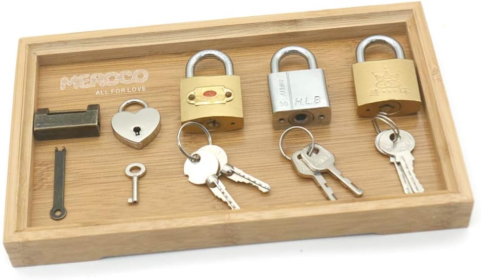 MEROCO Montessori Matching Game Learning Toys Lock and Key Set Learning Set Educational Toy Gift for Preschool Kids Toddlers