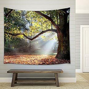 Mighty Oak Tree - Fabric Wall Tapestry Home Decor - 51x60 inches
