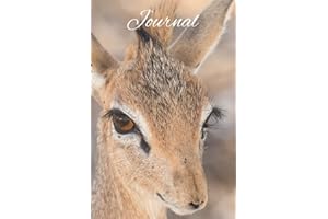 Dik Dik: Notebook