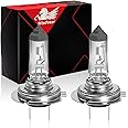WinPower H7 Halogen Headlight Bulb, Super Bright Warm White 55W 4300K High Low Beam Fog Light Replacement Car Motorcycle PX26D Lamp, Pack of 2