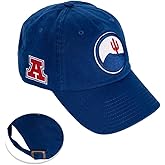 Desert Cactus University of Arizona Baseball Hat UA Wildcats Brimmed Embroidered Hats Cap Adjustable Cloth Strap Adult (Style J1 Vintage) Blue