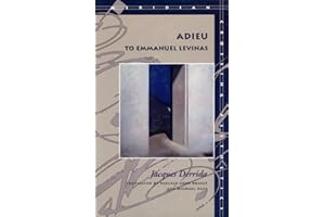 Adieu to Emmanuel Levinas (Meridian: Crossing Aesthetics)