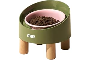 MS!MAKE SURE Dog Cat Food Bowls, Ceramic Elevated Cat Small Size Dog Bowls Dishes, 8°Tilted Non-Slip No Spill Anti Vomiting for Indoor Cats Small Dog Pink-Green