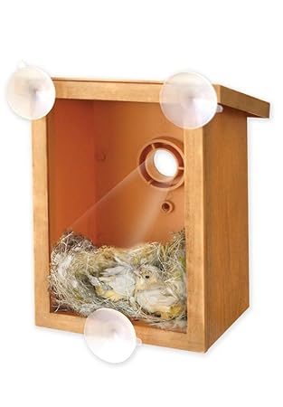 Transparent Windows Spy Vogelhaus Nistkasten Füttern natur siehe durch Fenster