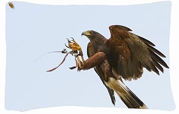 Amazoncom Microfiber Peach Queen Size Decorative