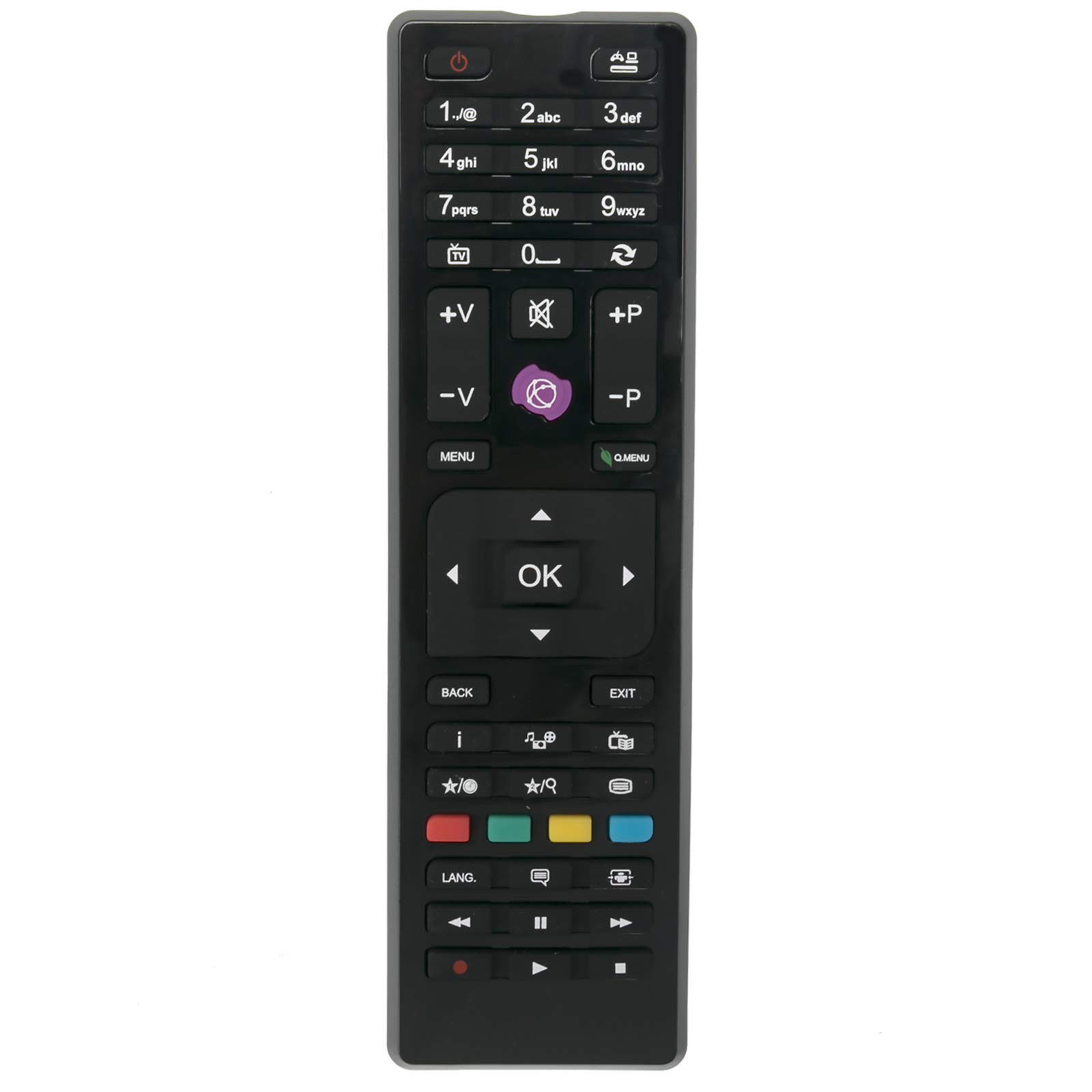 VINABTY RC4875 Replace Remote for Telefunken TV RC4870 RC4849 D32H278A3CW D39F275Q3C D40F272A3 L40F278M3C-3D L48F249X3CW-3DU T39EX1650-SAT TFL40DL275B15 XD28HDV DGQ32169HDRD TE40275N2 TE19180B31T10E