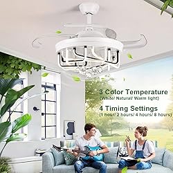 DLLT 40W Ceiling Fan with LED Lights, 42 Inch