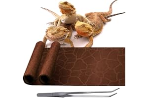 REP BUDDY 2 Pack Reptile Carpet Desert Reptile Mat & Reversible Substrate, Terrarium Liner Bedding, for Lizard,Chameleon,Gecko,Snake,Ceratophrys with Tweezers Feeding Tong (10 Gallon(21.5x11.5in))