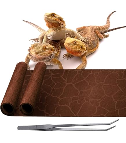 2-Pack Reptile Carpet Mats Tropical/Desert Reversible (20 Gallon