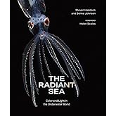 The Radiant Sea: Color and Light In the Underwater World