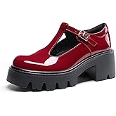 DREAM PAIRS Women's T-Strap Mary Jane Shoes Low Platform Chunky Block Heels Closed Toe Work Pumps Comfortable Round Toe Dress Wedding Party Shoes