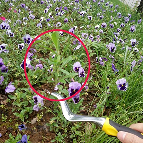 Hand Weeder Tool,Garden Weeding Removal,Cutter Tools with Ergonomic Handle,as Best Dandelion Digger,Weed Puller & Cultivator for Your Flower and Vegetable Plants Care on Lawn,Yard.(Weeder)
