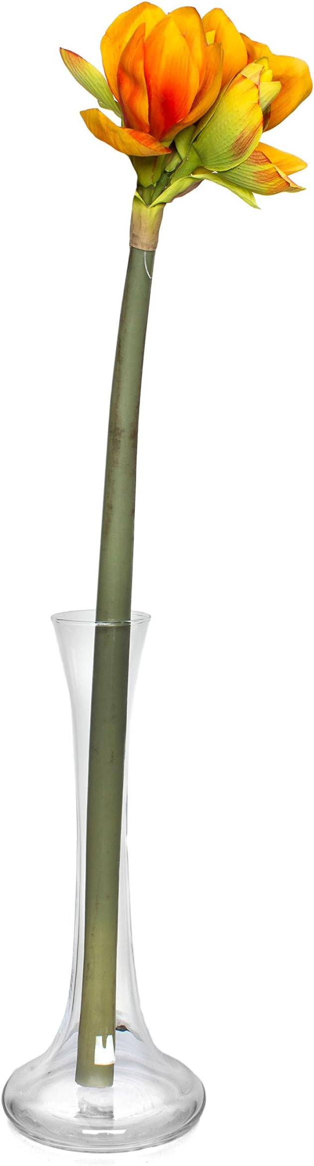 Solavia Blown Glass Single Stem Flower Vase 30cm high Handmade Yokki oNo ™