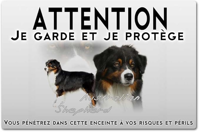 Pets Easy Panneau Attention Au Chien Berger Australien Tricolor