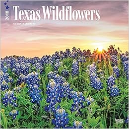 Amazoncom Texas Wildflowers 2018 12 X 12 Inch Monthly - 