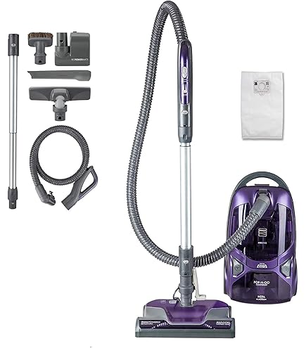Amazon.com - Dyson Big Ball Turbinehead Canister Vacuum