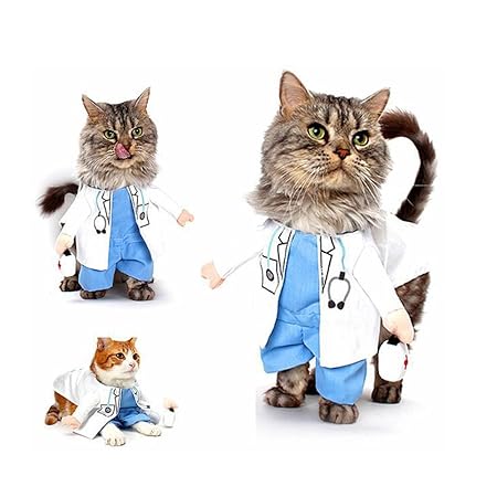 DELIFUR Arzt-Kostüm für Hunde und Katzen