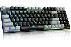HUO JI E-YOOSO Z-19 Mechanical Gaming Keyboard with True RGB Backlit, 5 Pin Hot Swappable Blue Switches, Number Pad, Pro Software Supported, Wired Compact 94 Keys for PC/Computer, Black Grey